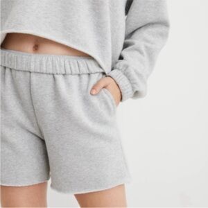 Aerie Soft Gray Knitwear
